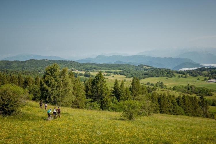 Hotel Ds Camping Grgar Zewnętrze zdjęcie