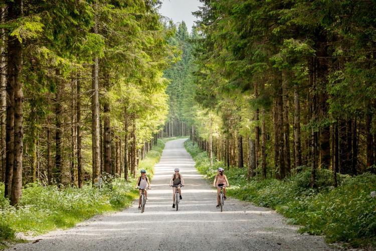 Hotel Ds Camping Grgar Zewnętrze zdjęcie