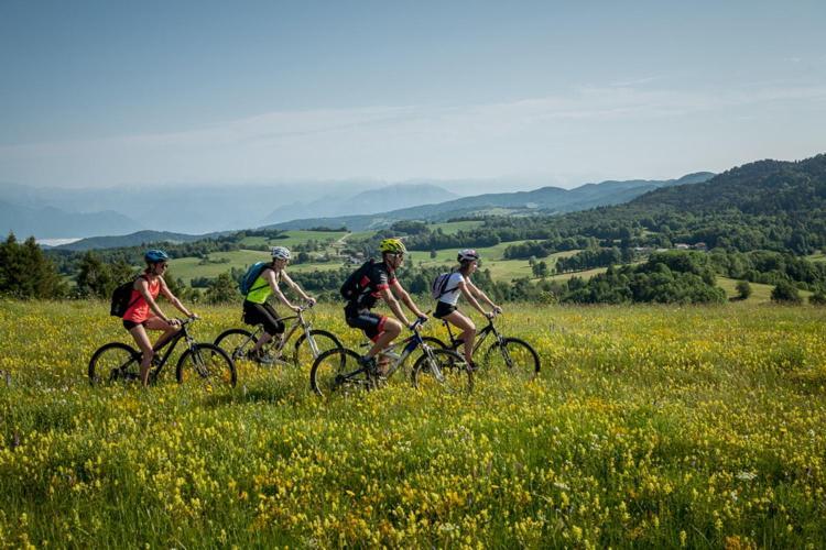 Hotel Ds Camping Grgar Zewnętrze zdjęcie