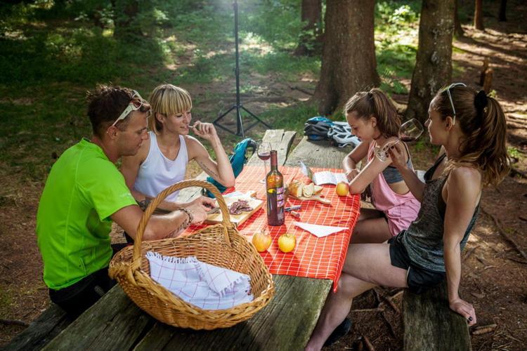 Hotel Ds Camping Grgar Zewnętrze zdjęcie