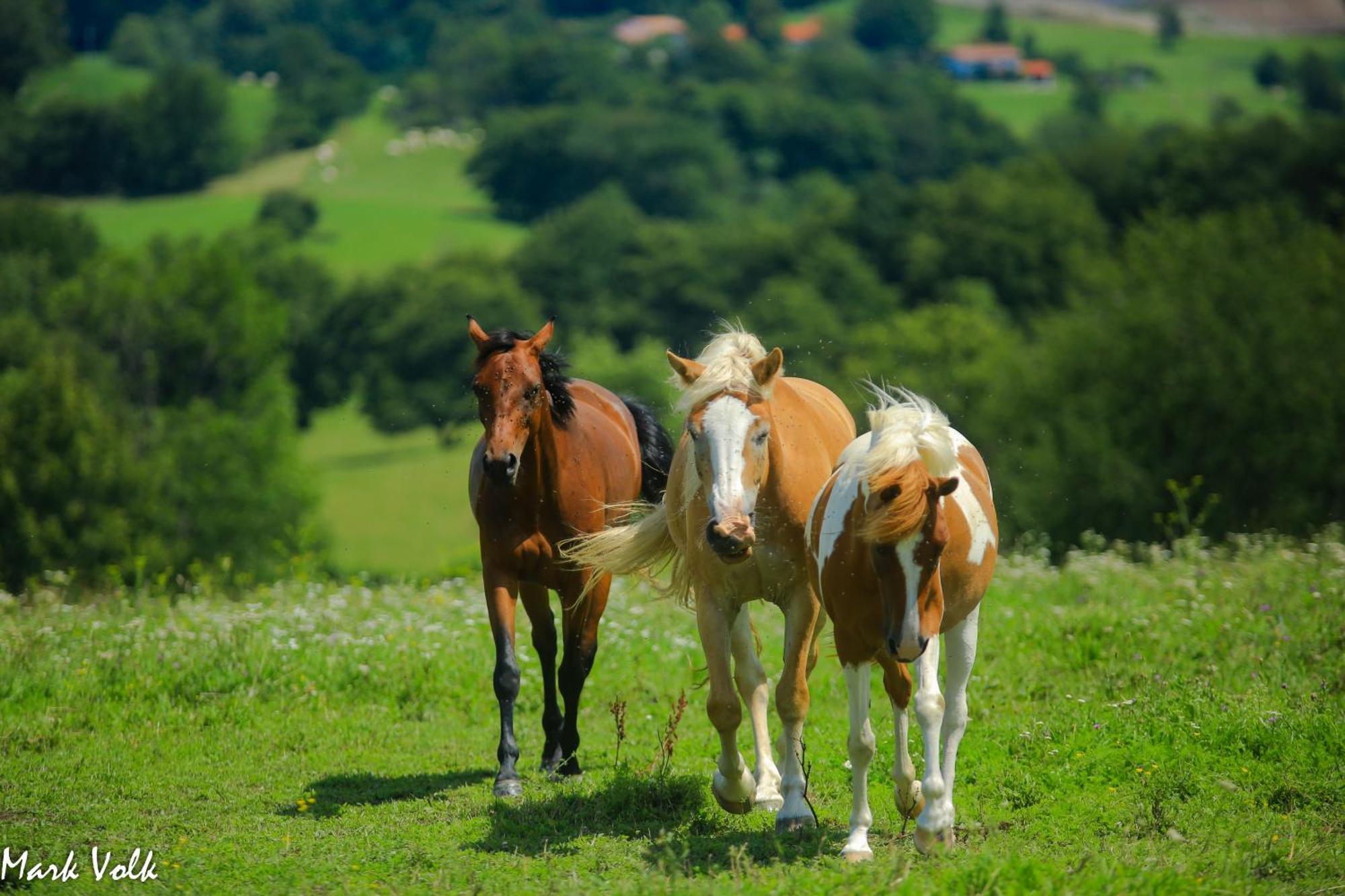 Hotel Ds Camping Grgar Zewnętrze zdjęcie