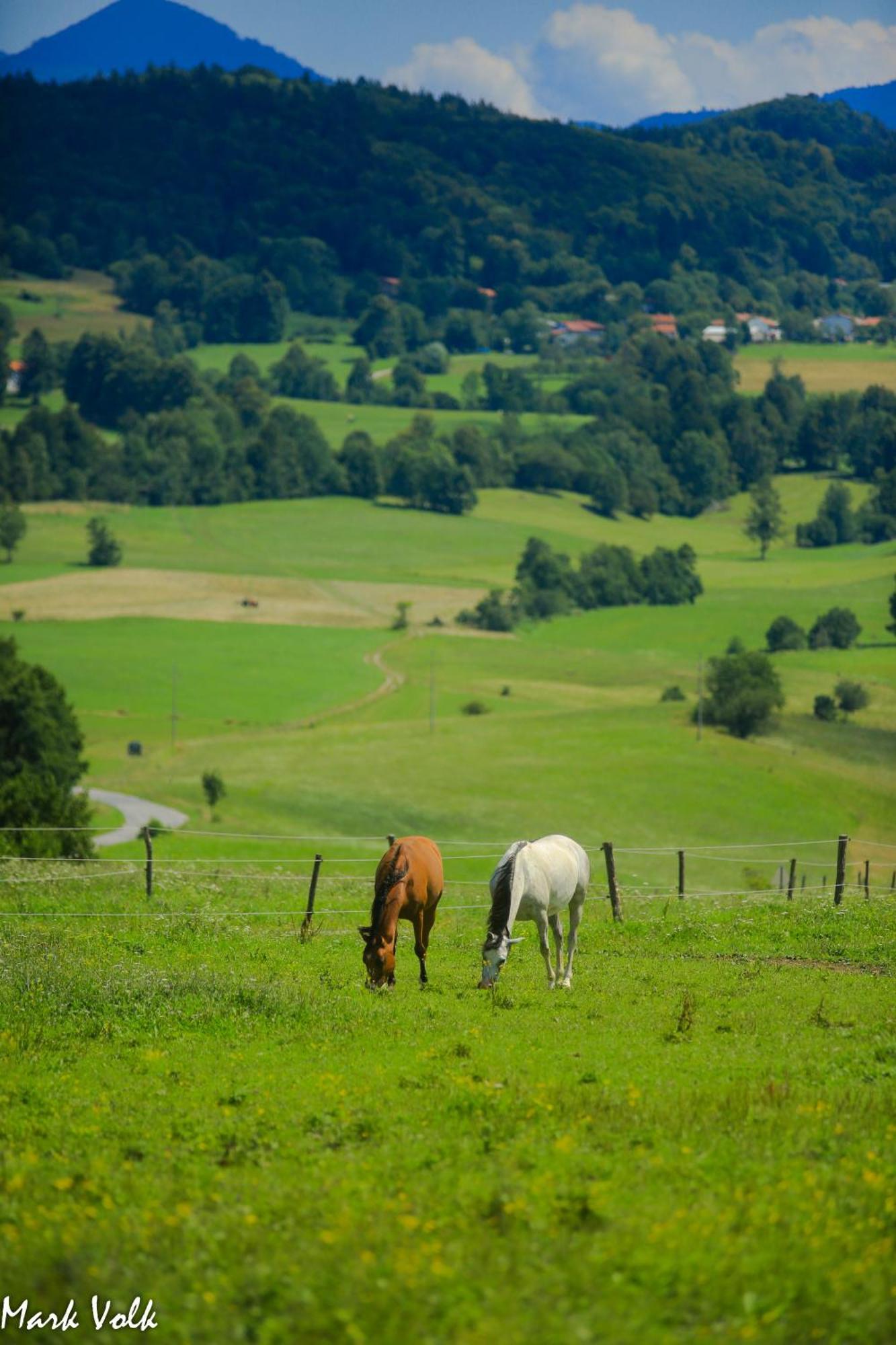 Hotel Ds Camping Grgar Zewnętrze zdjęcie